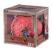 Devil Fruits Collection Vol. 3